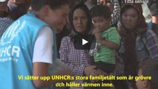 UNHCR hjälper i Ungern